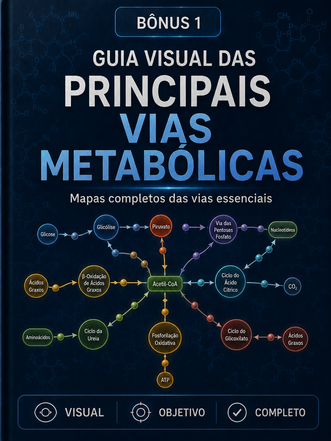 Bônus 01 — Guia Visual das Principais Vias Metabólicas