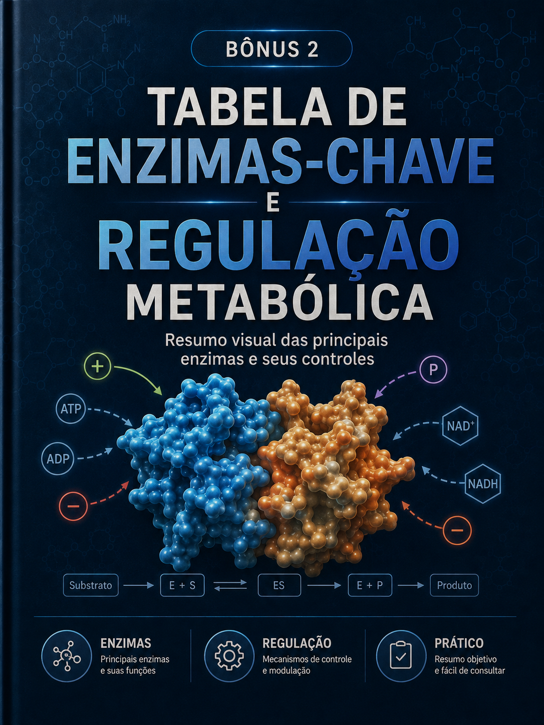 Bônus 02 — Tabela de Enzimas-Chave e Regulação Metabólica