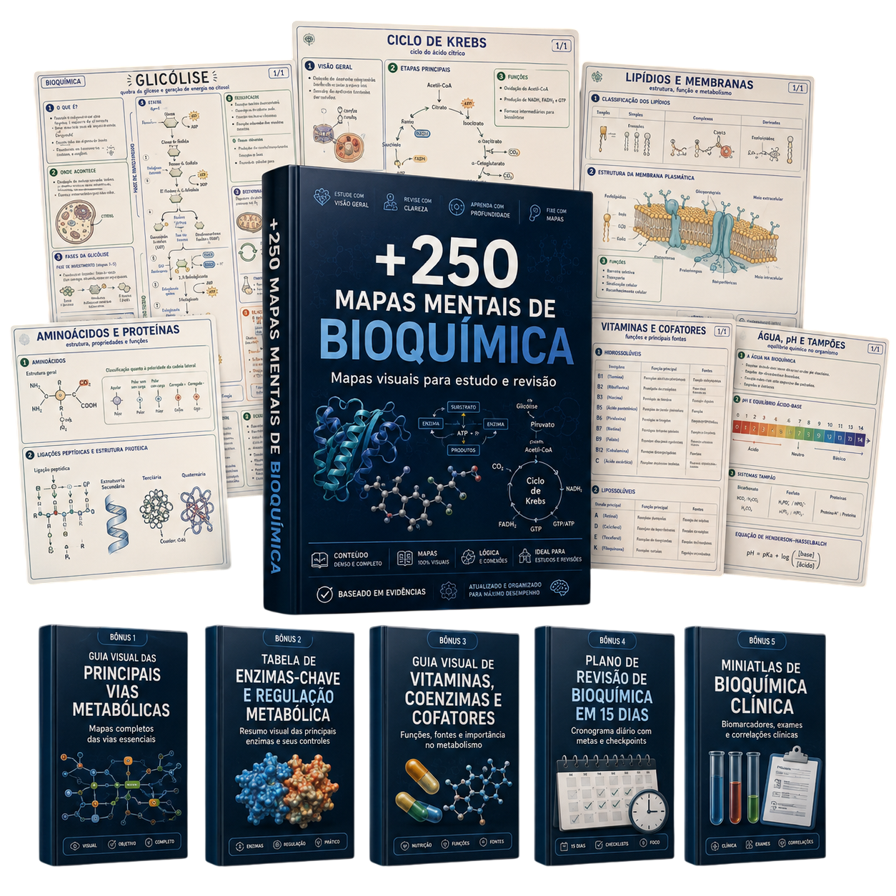Plano Premium Bioquímica Visual