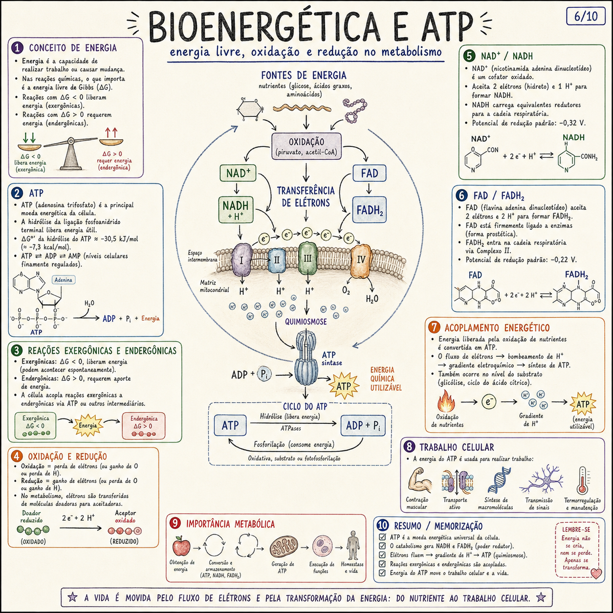 Aminoácidos e Proteínas