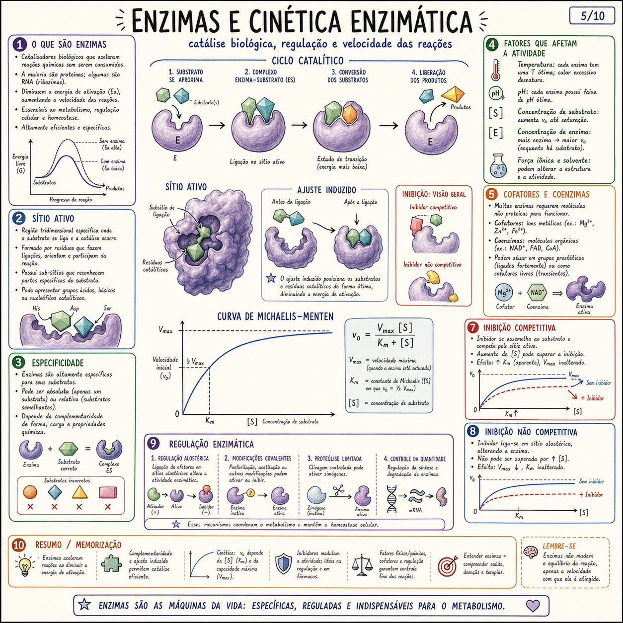 Lipídios e Membranas
