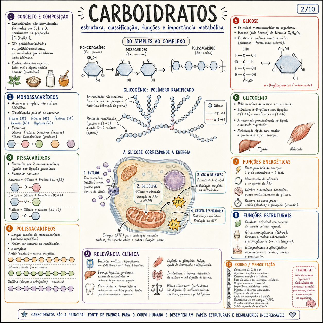 Metabolismo dos Lipídios